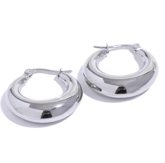 Zoe Earrings Silver
